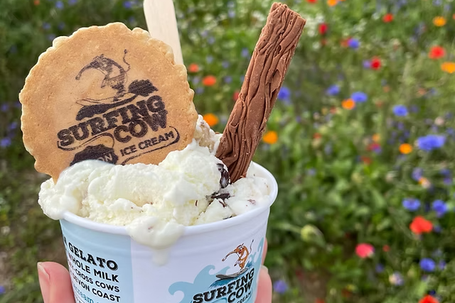 Surfing Cow Gelato